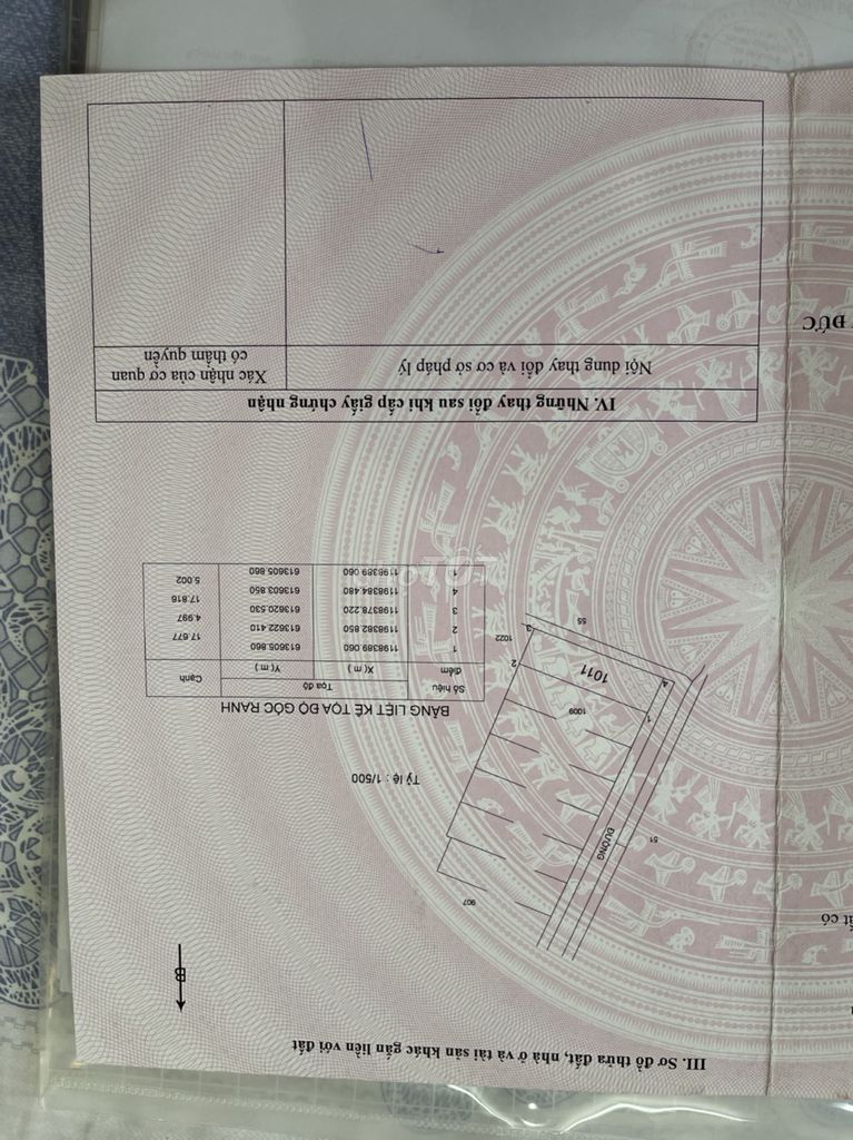 3950280 ảnh đại diện 1