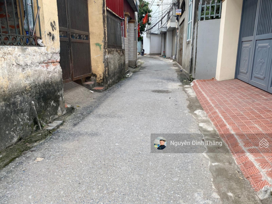 3950763 ảnh đại diện 2