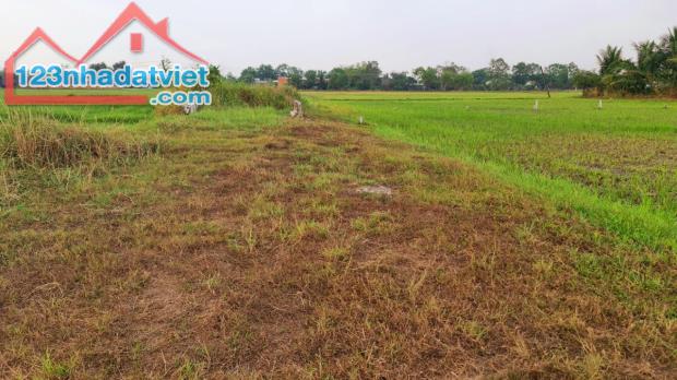 3944139 ảnh đại diện 2