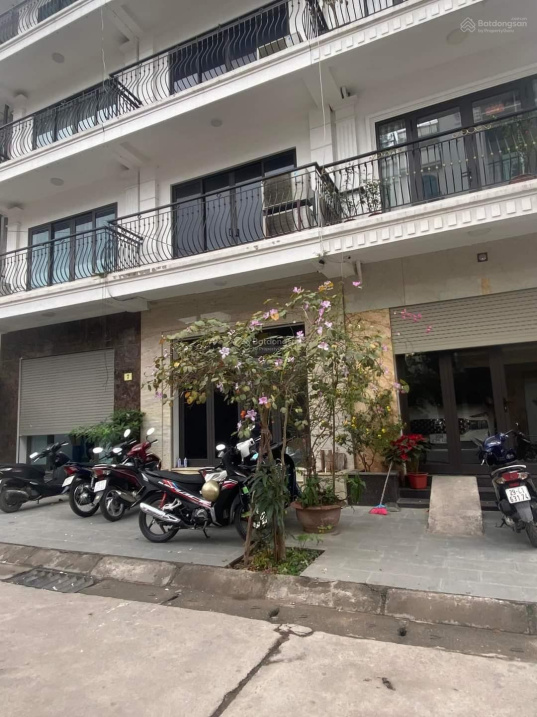 3947567 ảnh đại diện 1