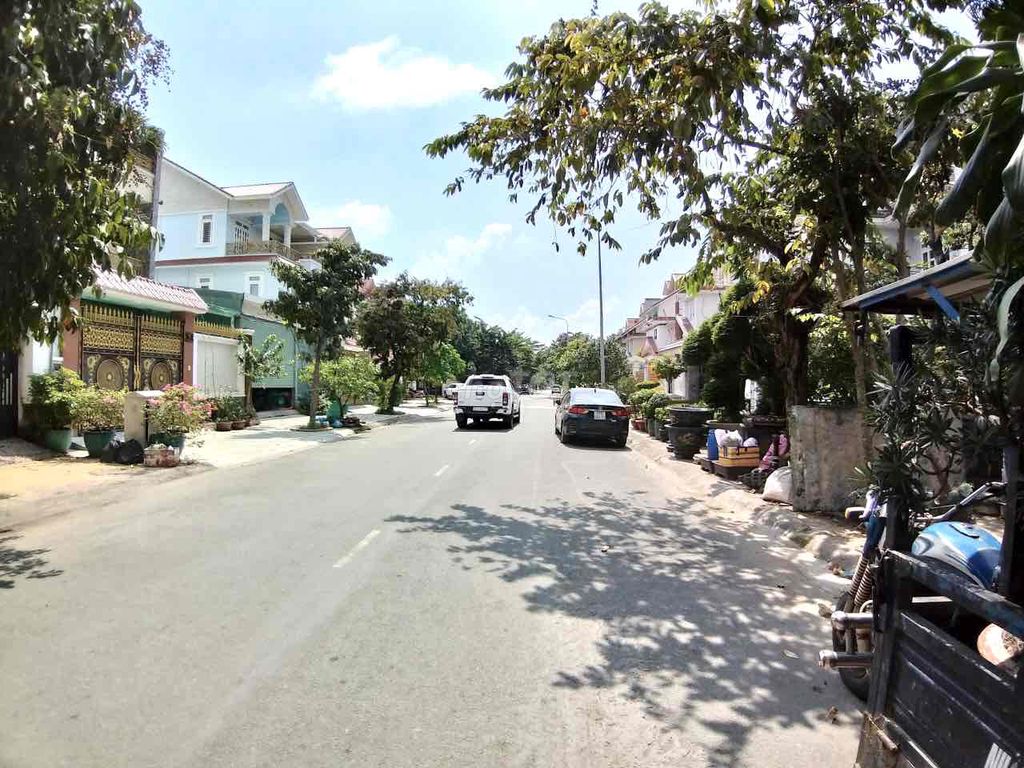 3950271 ảnh đại diện 1