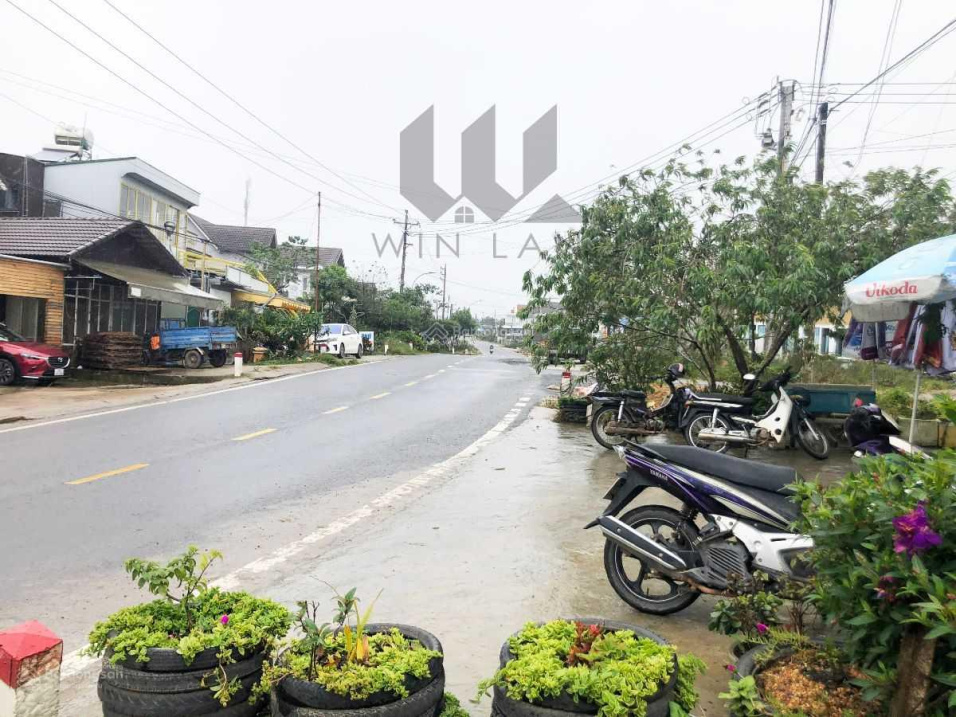 3948417 ảnh đại diện 1