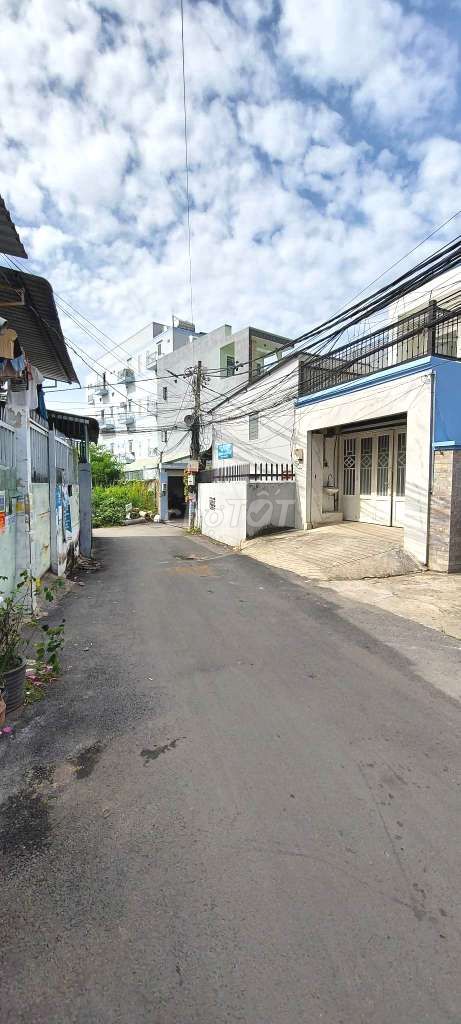 3950279 ảnh đại diện 1