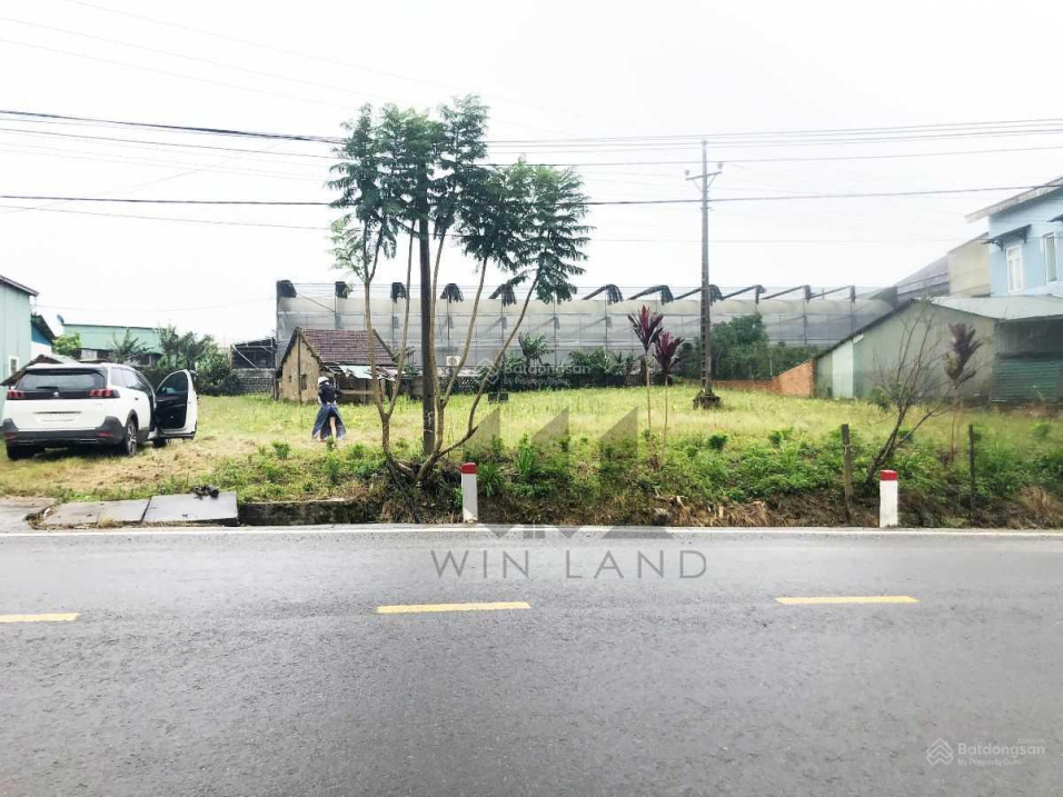 3948417 ảnh đại diện 1