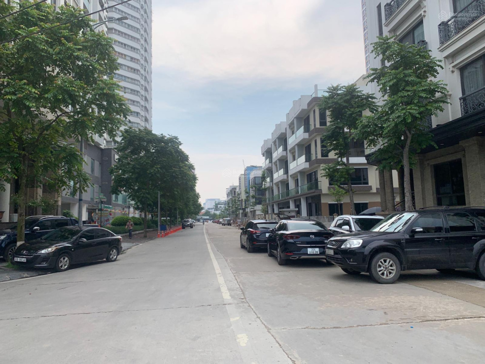 3950295 ảnh đại diện 1