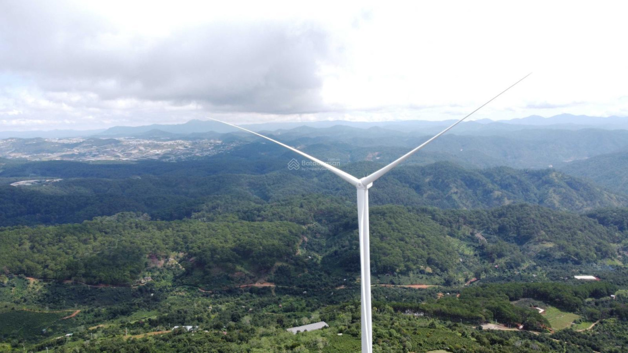 3948417 ảnh đại diện 2