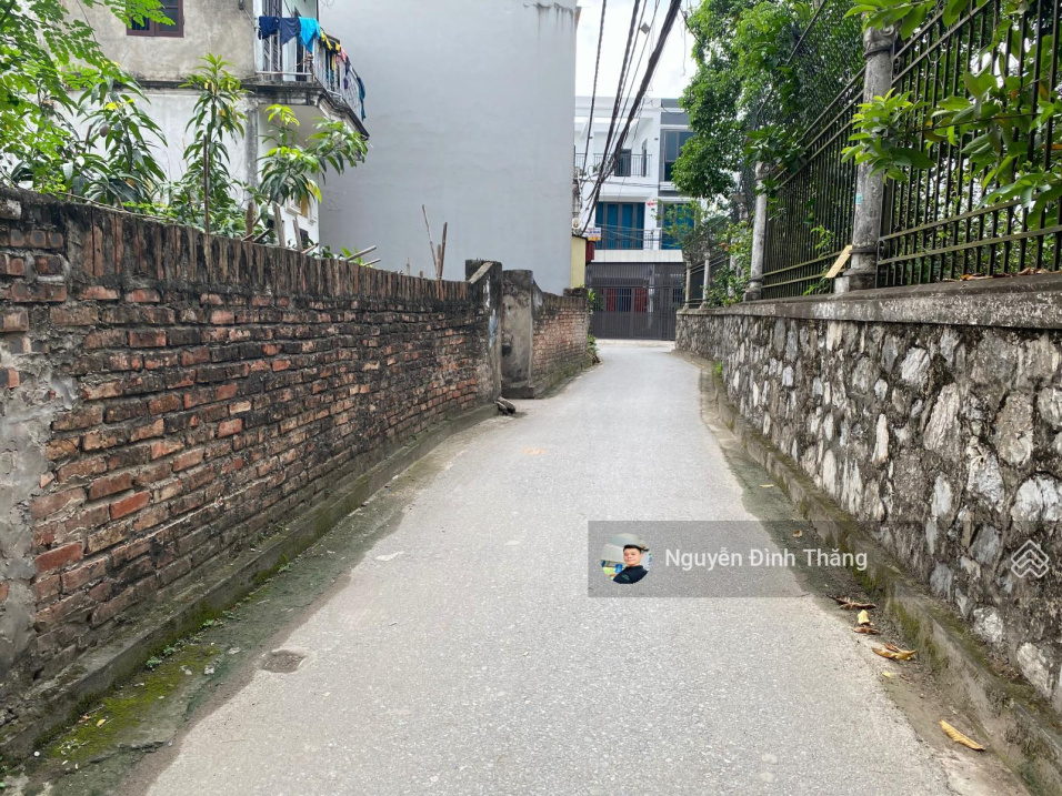 3950763 ảnh đại diện 1
