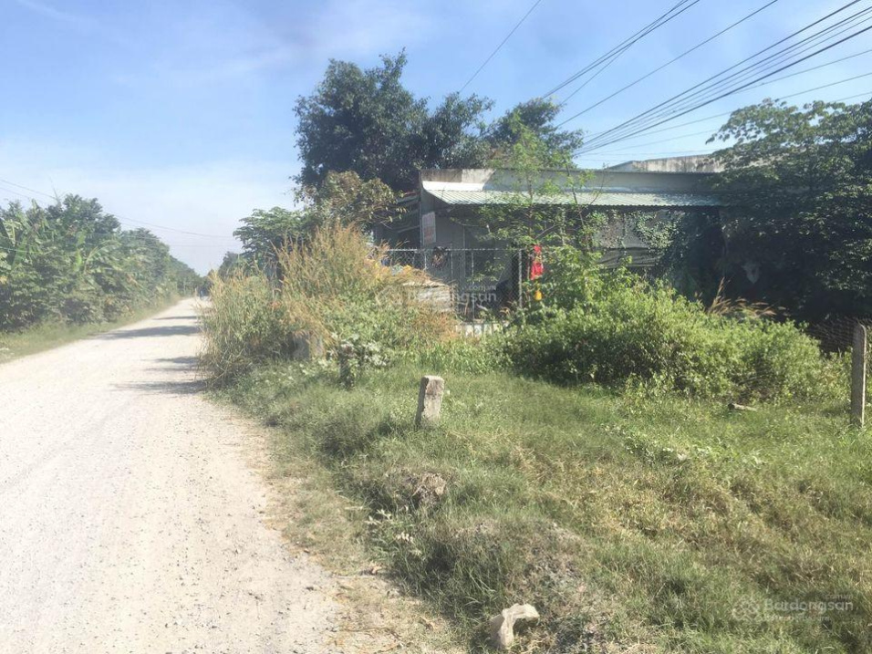 3947538 ảnh đại diện 1