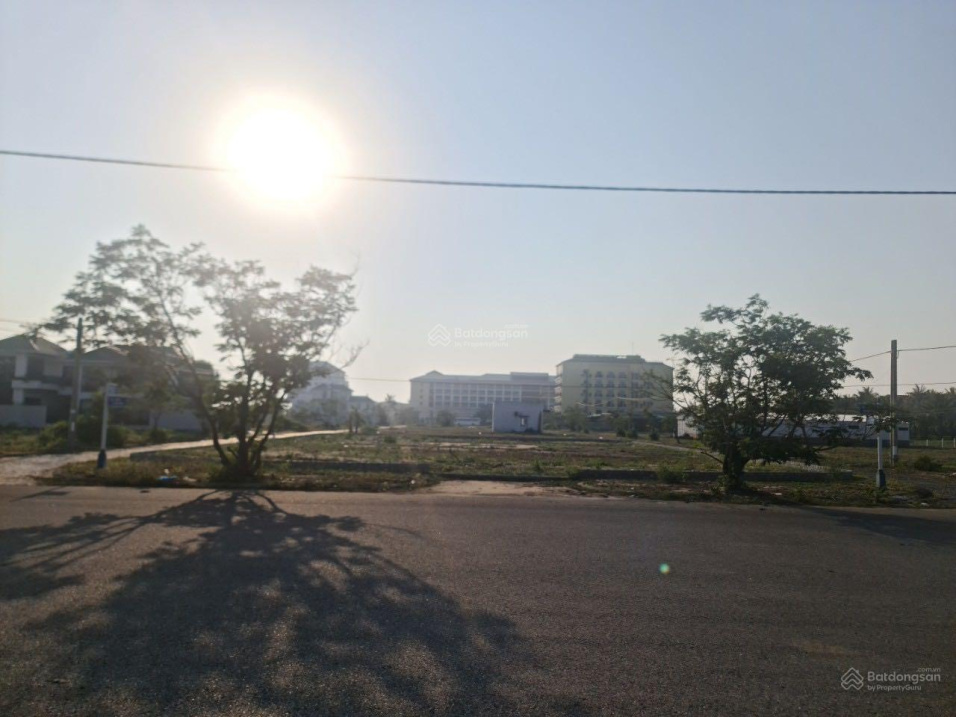 3950388 ảnh đại diện 2