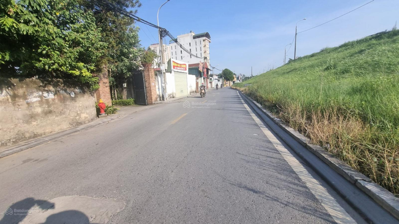 3950770 ảnh đại diện 1