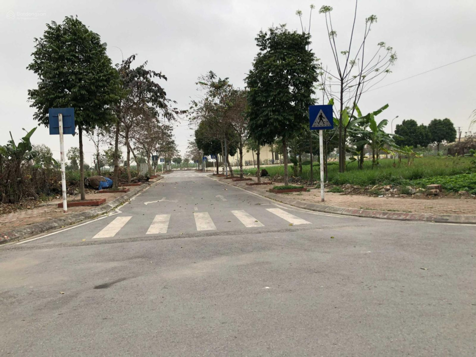 3949068 ảnh đại diện 1