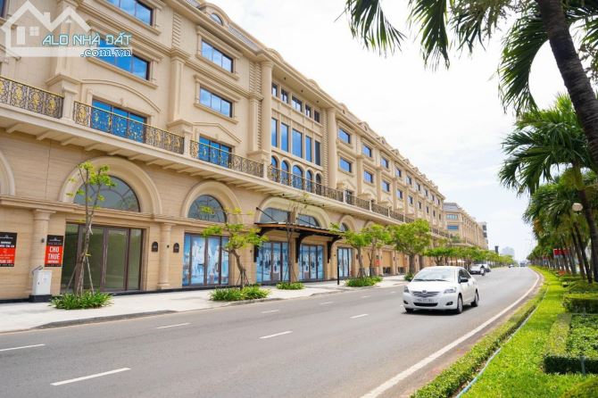 3944077 ảnh đại diện 1