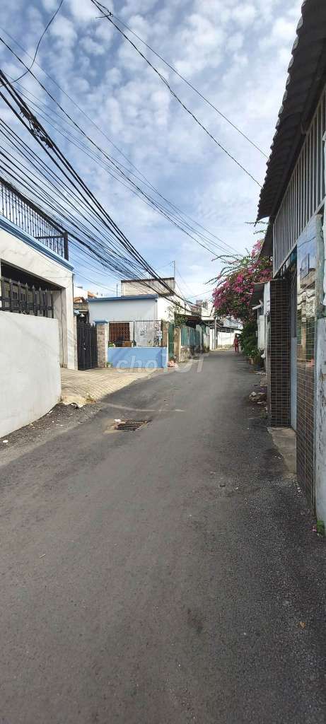 3950279 ảnh đại diện 2