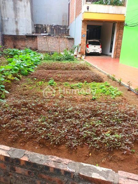 3946426 ảnh đại diện 1