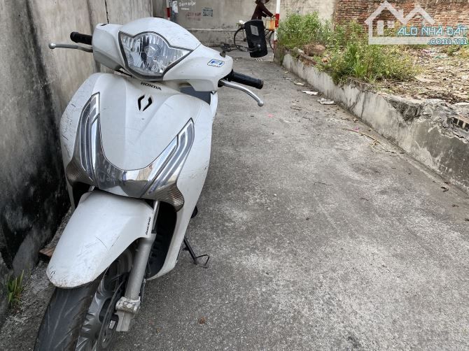 3944706 ảnh đại diện 1