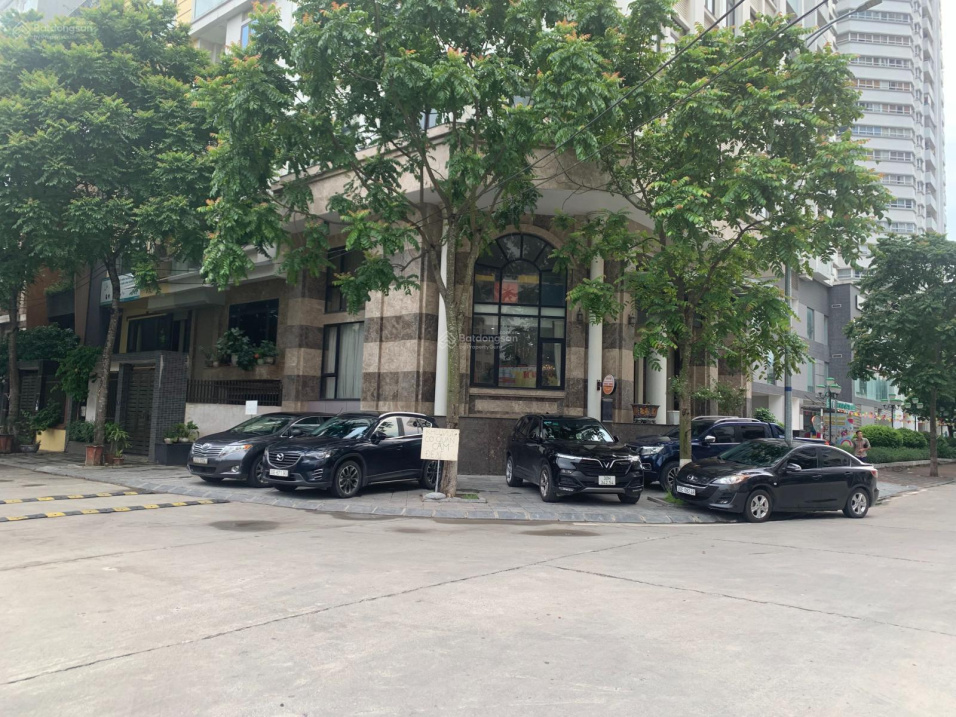 3950295 ảnh đại diện 1