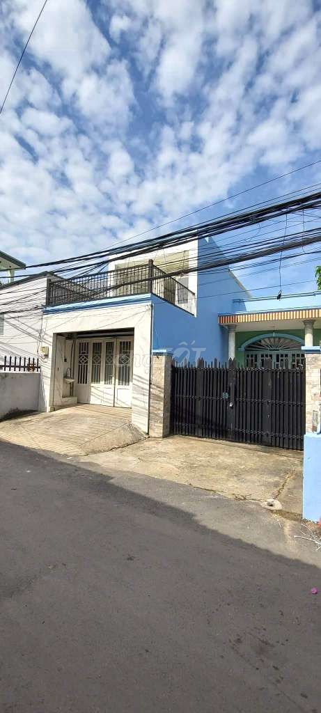 3950279 ảnh đại diện 1