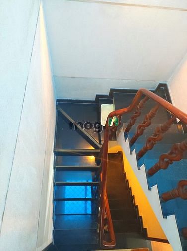 3944811 ảnh đại diện 1