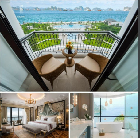 3950041 ảnh đại diện 1