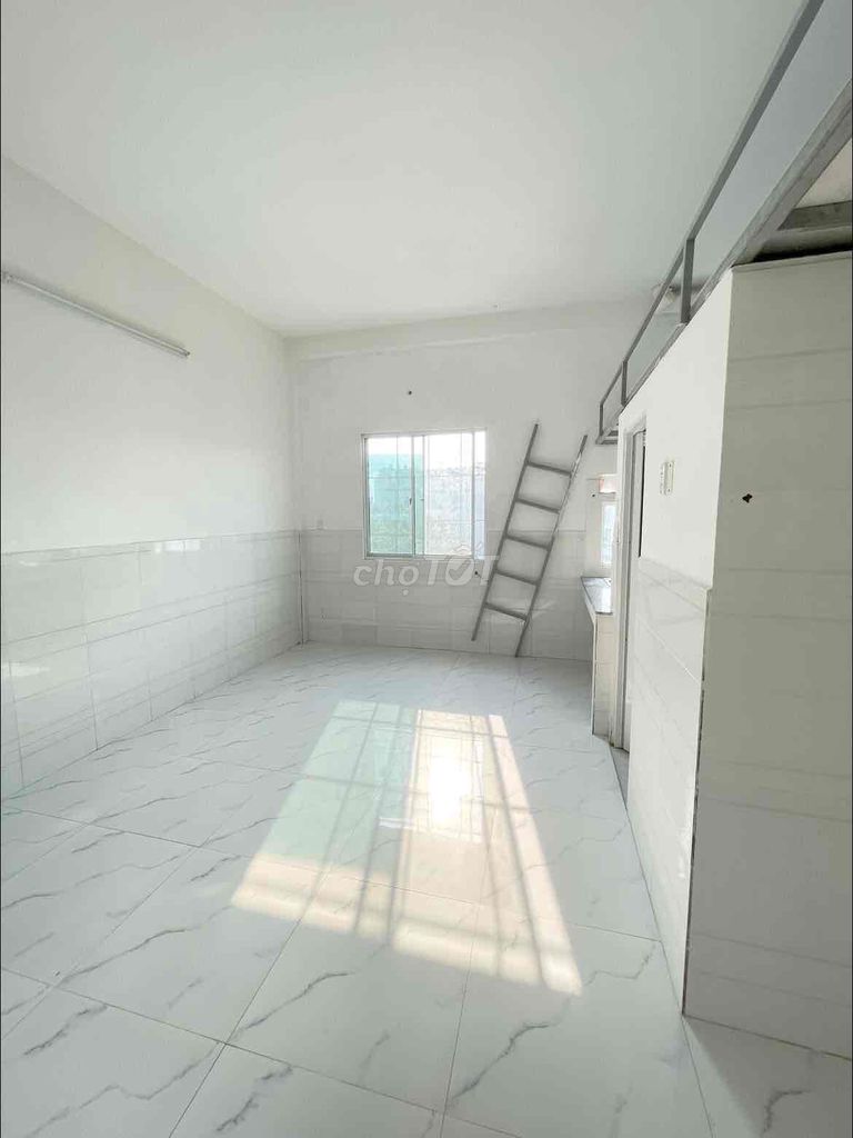 3954736 ảnh đại diện 1