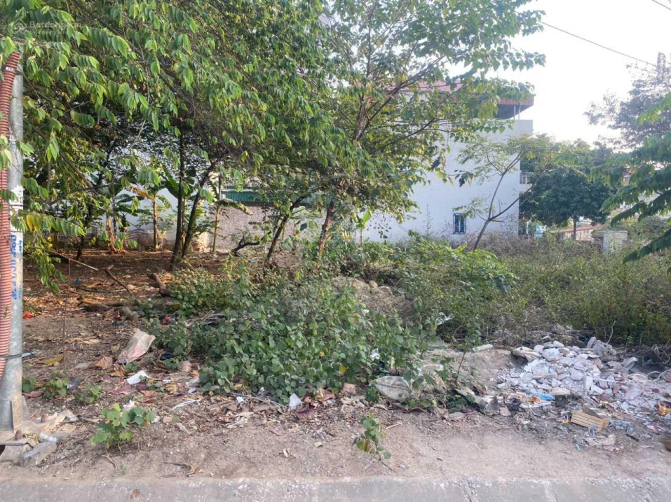 3951548 ảnh đại diện 1