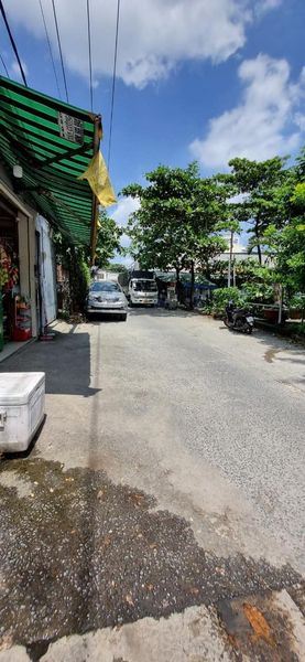 3951699 ảnh đại diện 1