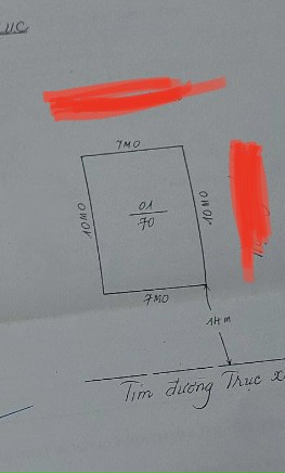 3955006 ảnh đại diện 2