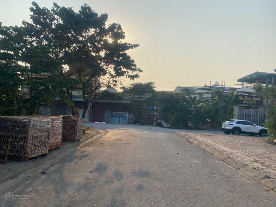3951548 ảnh đại diện 1