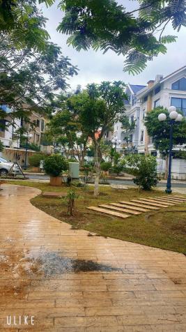 3952778 ảnh đại diện 2