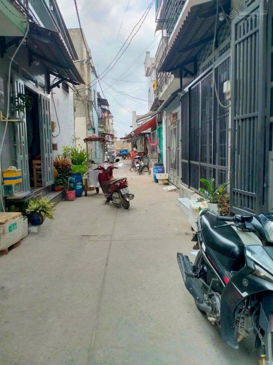 3953974 ảnh đại diện 1