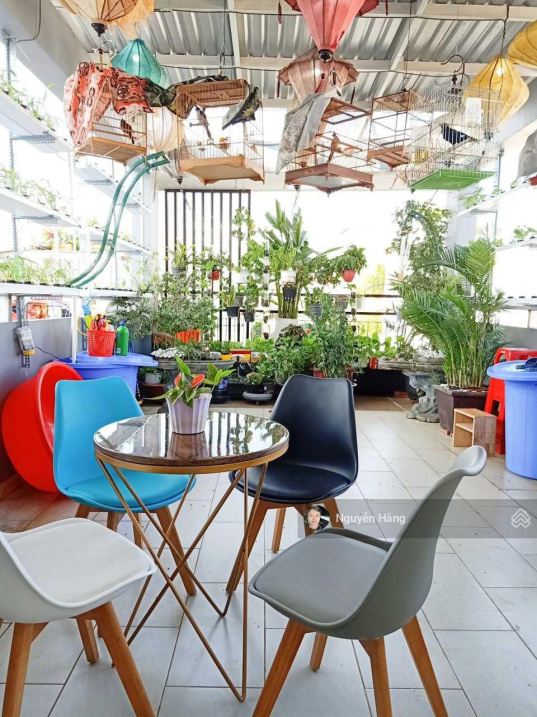 3954434 ảnh đại diện 1