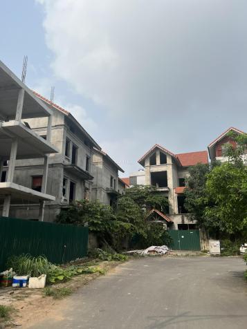 3952745 ảnh đại diện 2