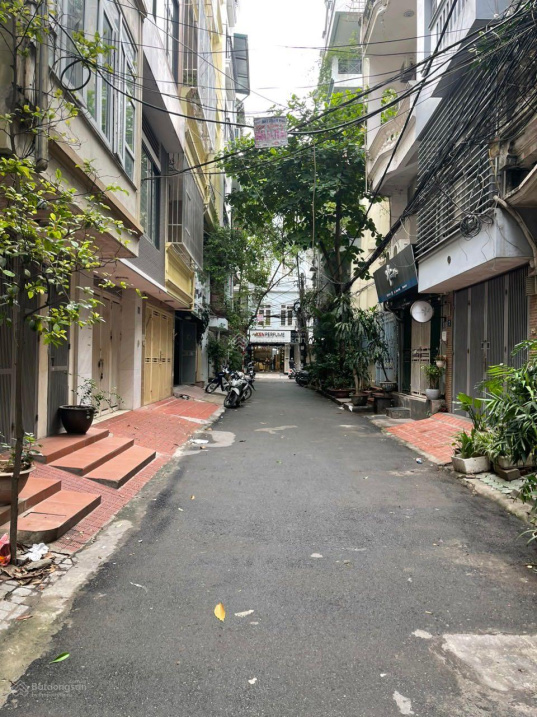 3954679 ảnh đại diện 1