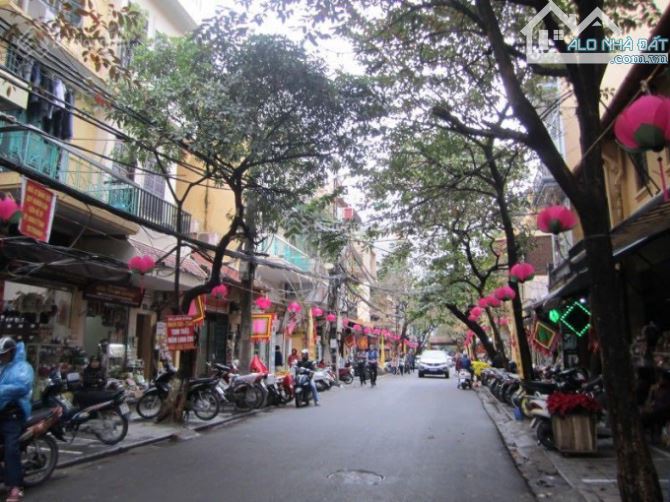 3952429 ảnh đại diện 1