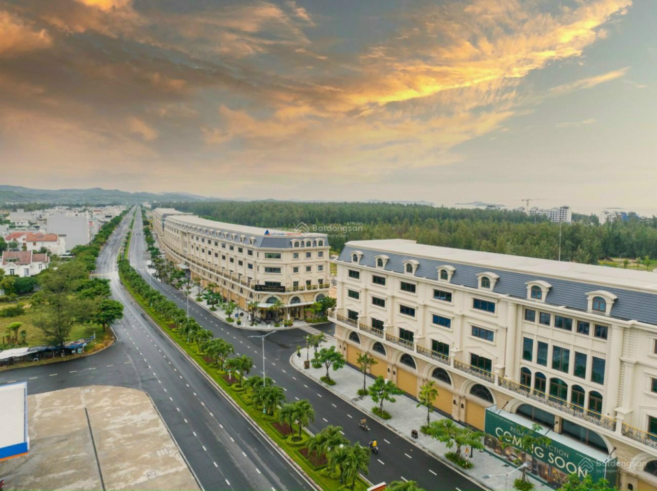 3955212 ảnh đại diện 2