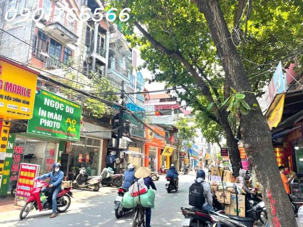 3952555 ảnh đại diện 1