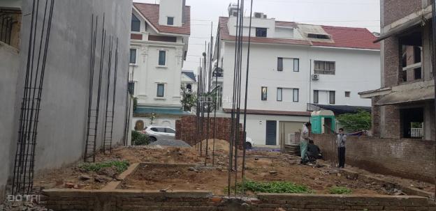 3952799 ảnh đại diện 1