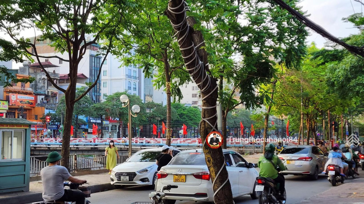 3955640 ảnh đại diện 1