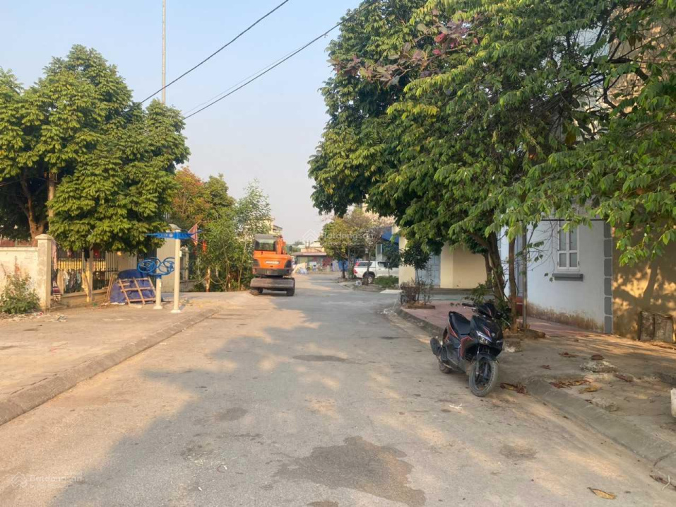 3951548 ảnh đại diện 2