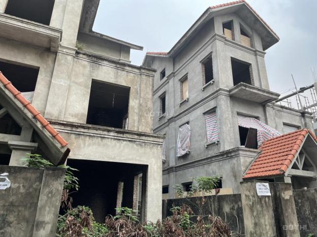 3952745 ảnh đại diện 1