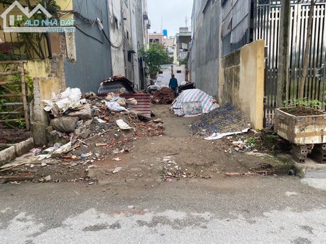 3951223 ảnh đại diện 1
