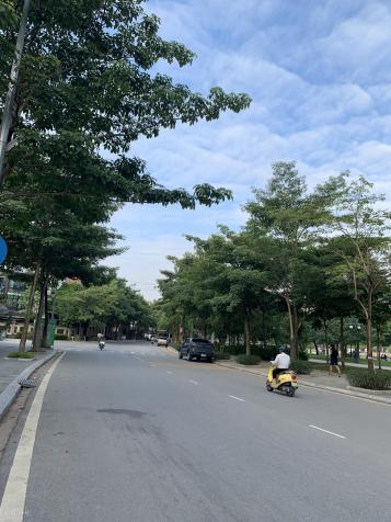 3952783 ảnh đại diện 1