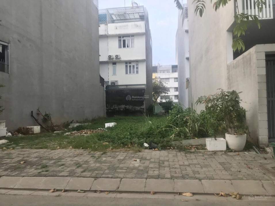 3953187 ảnh đại diện 1