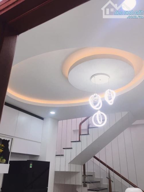 3956072 ảnh đại diện 1