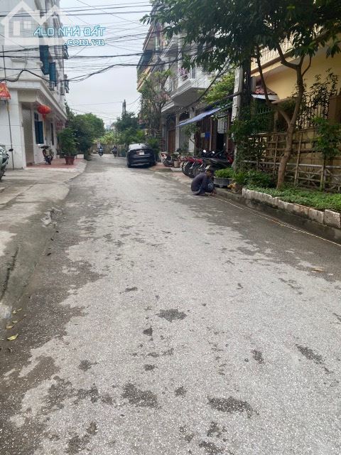 3951223 ảnh đại diện 1