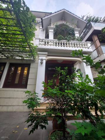 3952778 ảnh đại diện 1