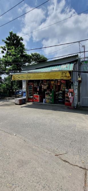 3951699 ảnh đại diện 1