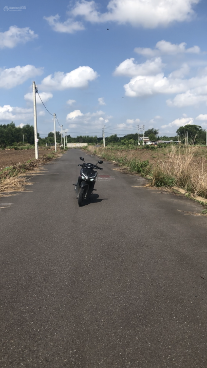 3961317 ảnh đại diện 1
