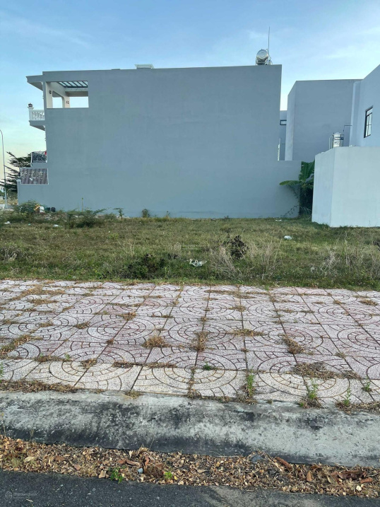 3960240 ảnh đại diện 1