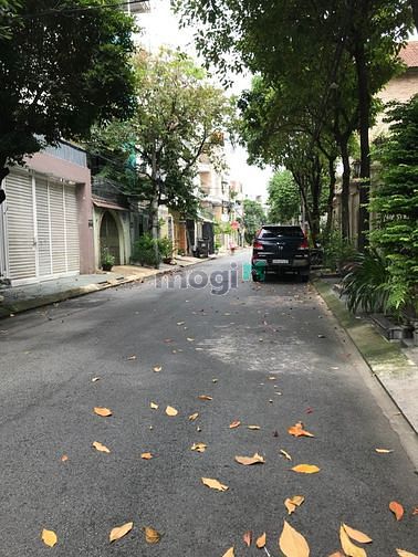 3958991 ảnh đại diện 1